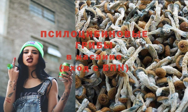 тгк Мегион