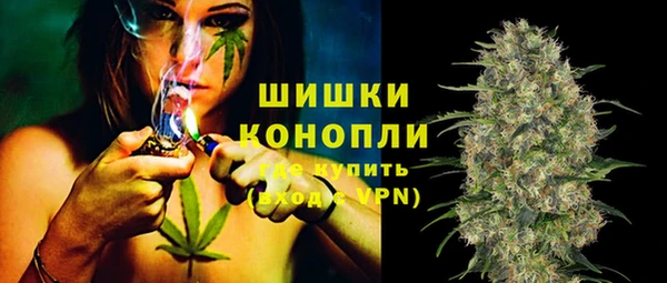 тгк Мегион
