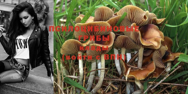 тгк Мегион