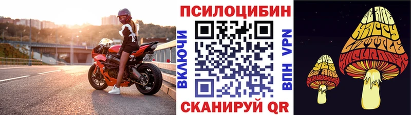 Псилоцибиновые грибы GOLDEN TEACHER  даркнет сайт  Брюховецкая 